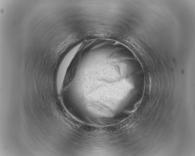 X0000088900696200706291505