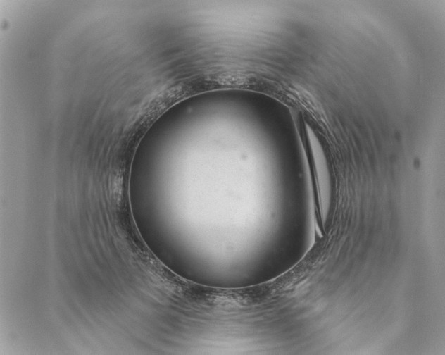 X0000088900697200706291505