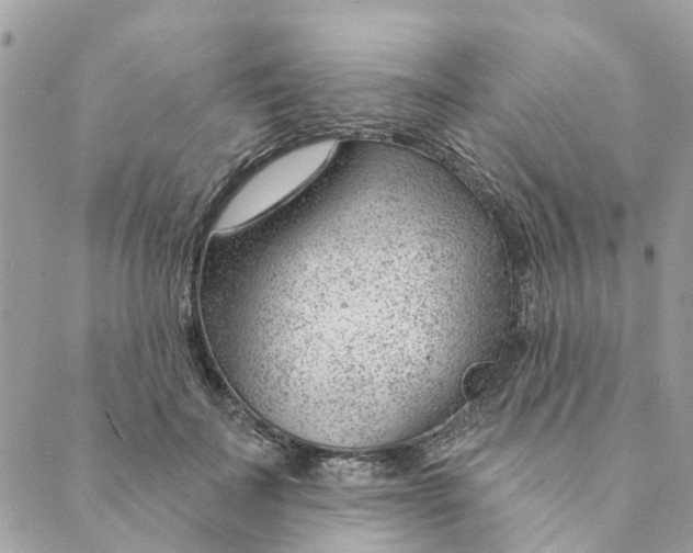 X0000088900699200706291505