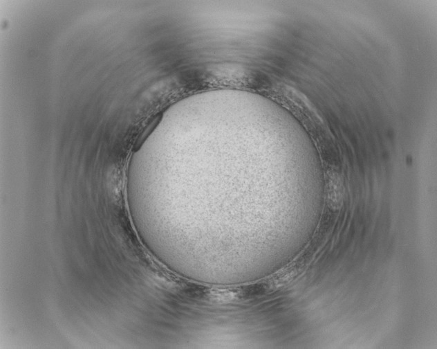 X0000088900701200706291505