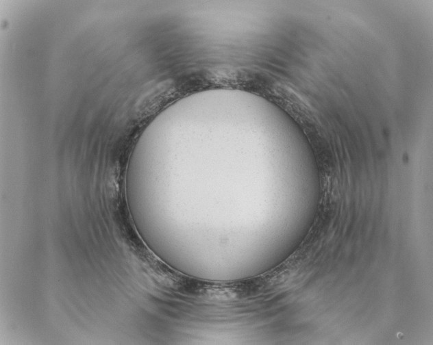 X0000088900702200706291505