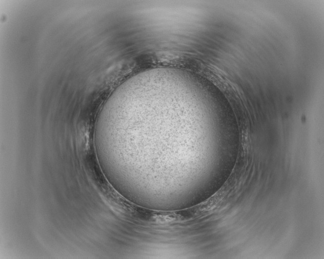 X0000088900703200706291505