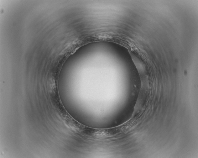 X0000088900704200706291505