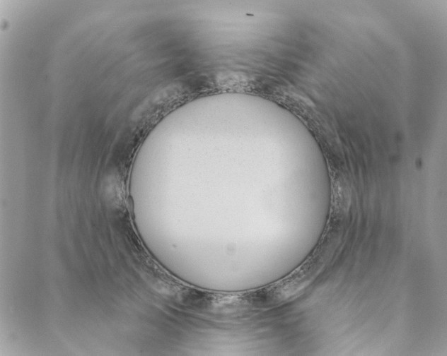 X0000088900705200706291505