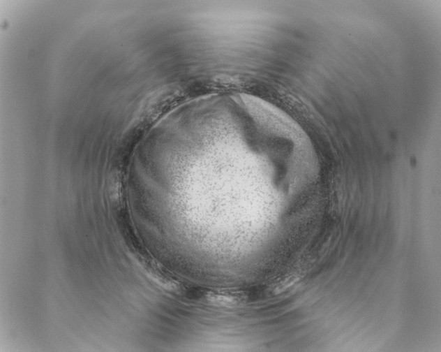 X0000088900706200706291505