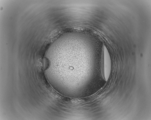 X0000088900707200706291505