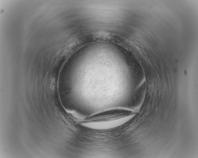 X0000088900708200706291505