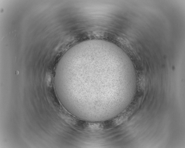 X0000088900709200706291505