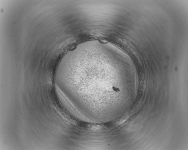 X0000088900710200706291505