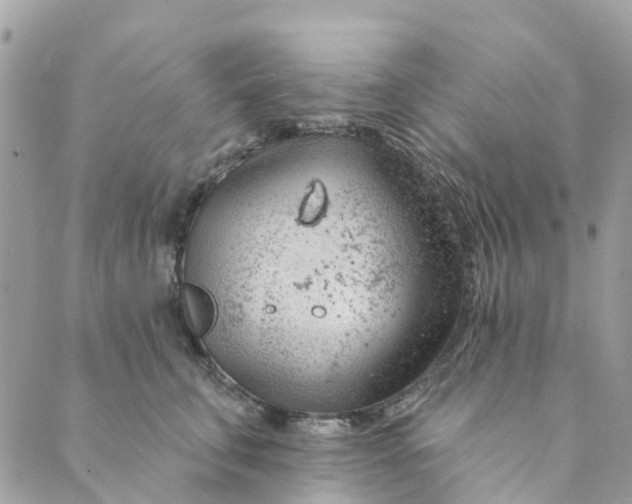 X0000088900711200706291505