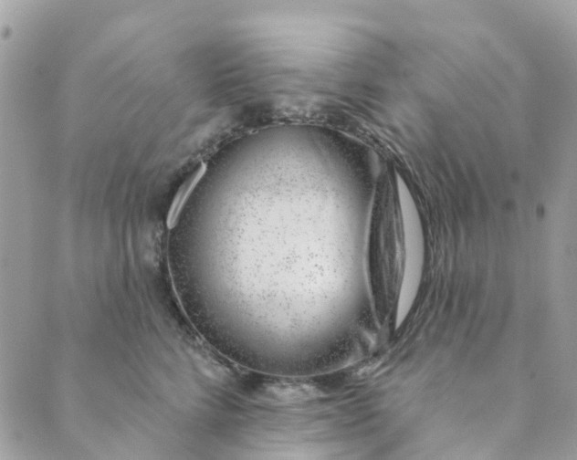 X0000088900712200706291504