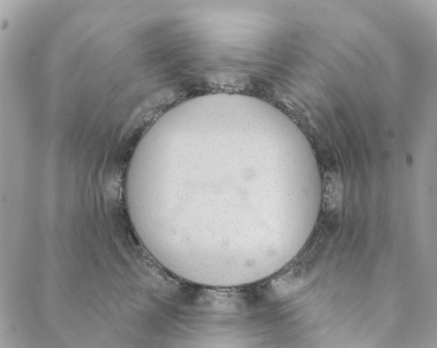 X0000088900713200706291504