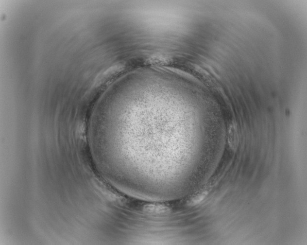 X0000088900714200706291504