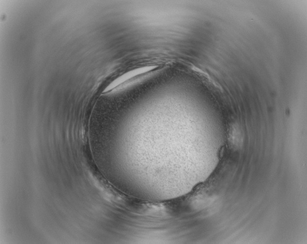 X0000088900715200706291504