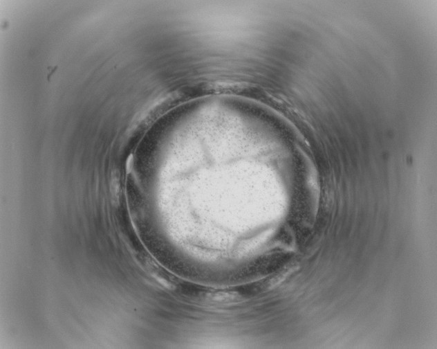 X0000088900716200706291504