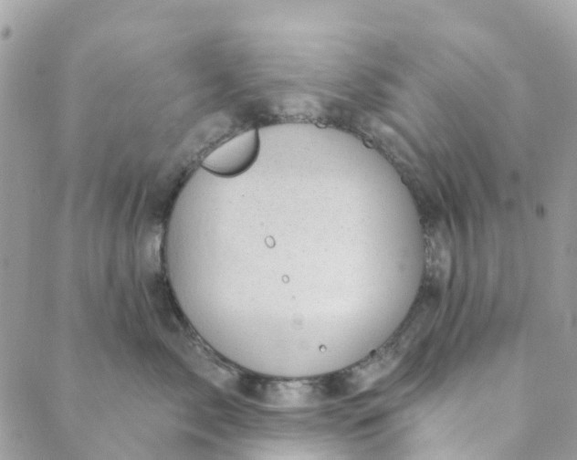 X0000088900717200706291504