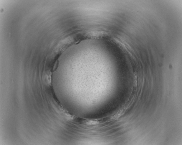 X0000088900718200706291504