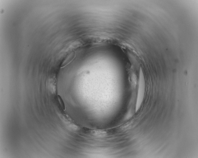 X0000088900719200706291504