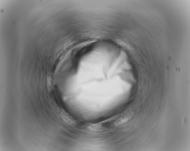 X0000088900720200706291504