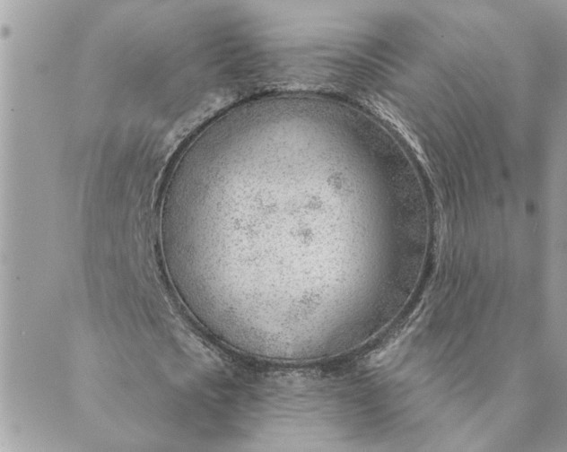 X0000088900721200706291504