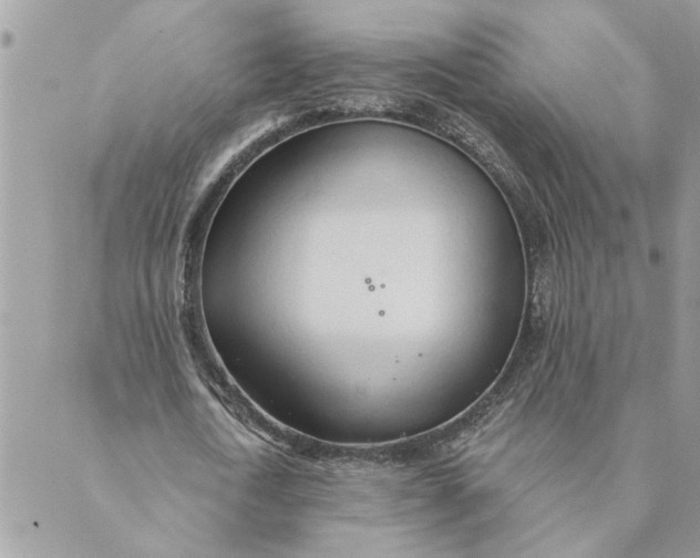 X0000088900722200706291504