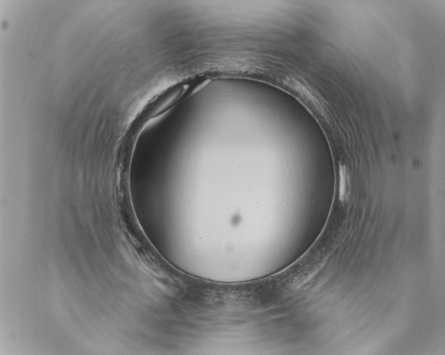 X0000088900723200706291504