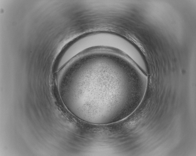 X0000088900724200706291504