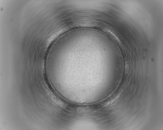 X0000088900725200706291504