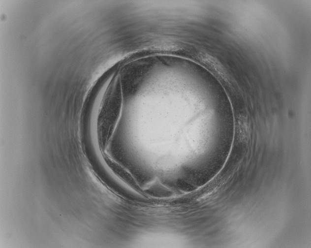 X0000088900726200706291504