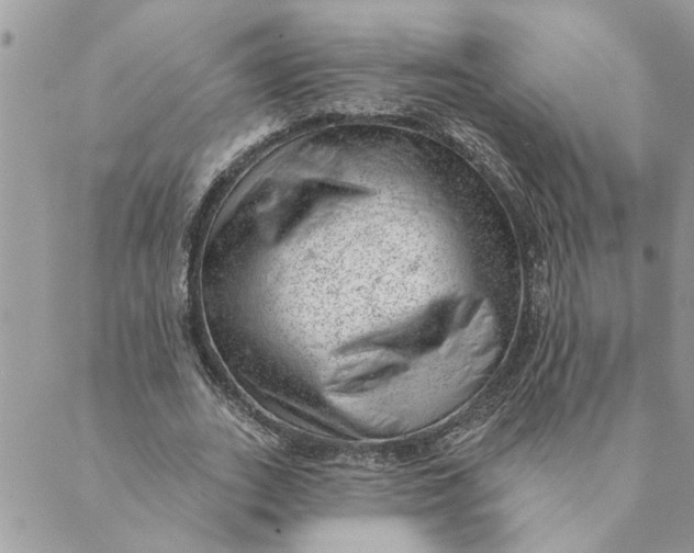 X0000088900727200706291504