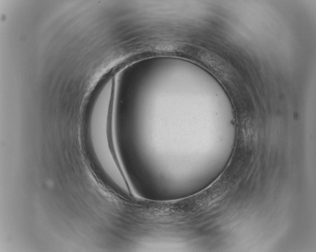 X0000088900728200706291504