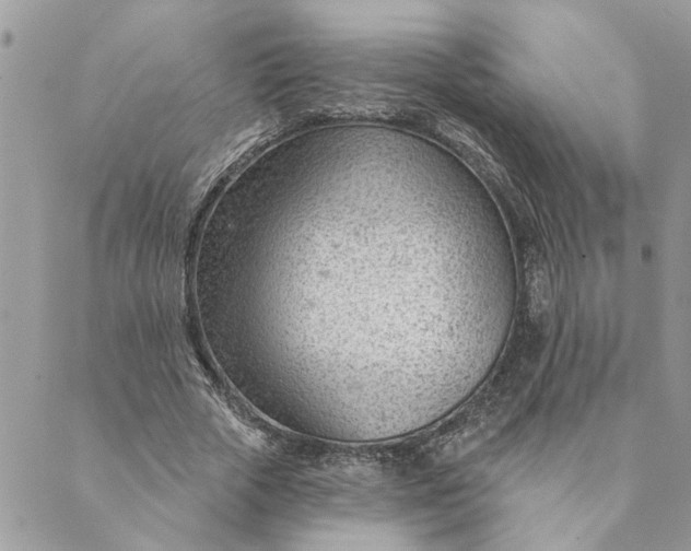 X0000088900729200706291504