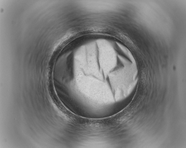 X0000088900730200706291504