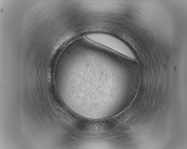 X0000088900731200706291504