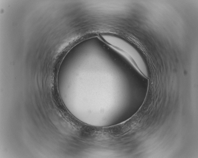 X0000088900732200706291504