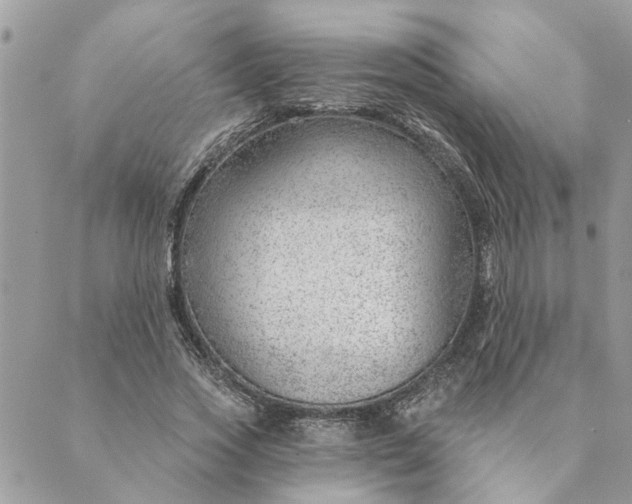 X0000088900733200706291504