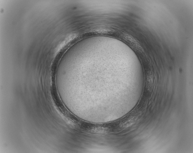 X0000088900734200706291504