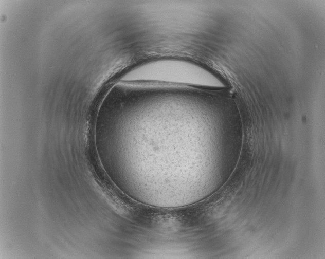 X0000088900735200706291504