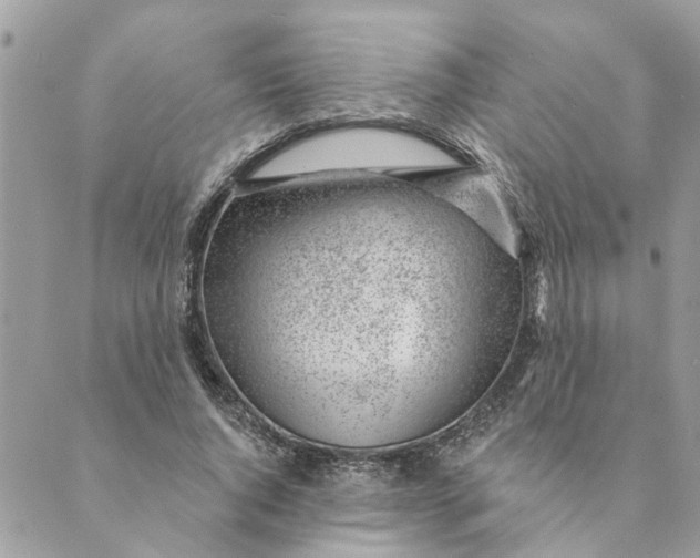 X0000088900736200706291504