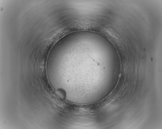 X0000088900737200706291504