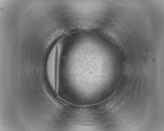 X0000088900738200706291504