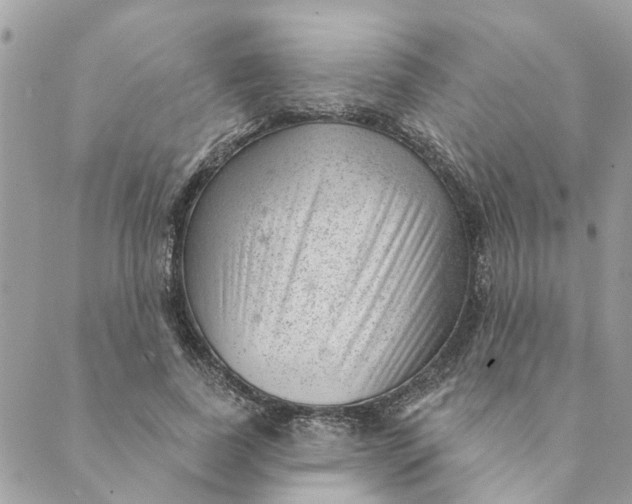 X0000088900739200706291504