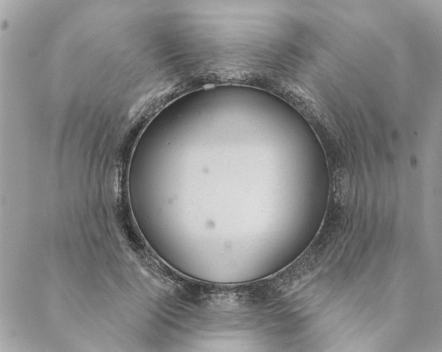 X0000088900740200706291504