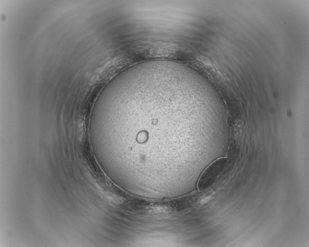 X0000088900741200706291504