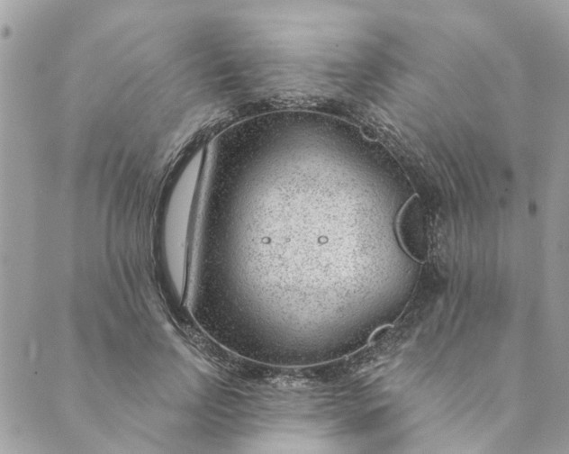 X0000088900742200706291504