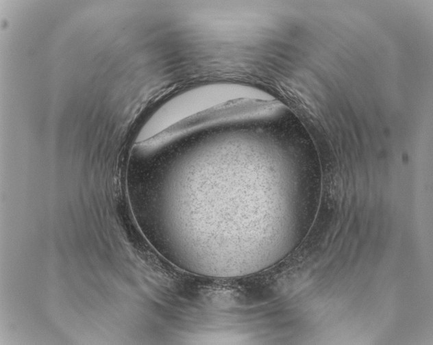 X0000088900743200706291504