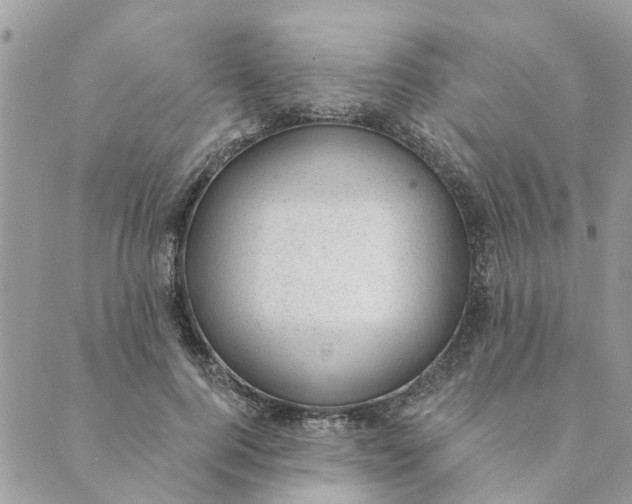 X0000088900744200706291504