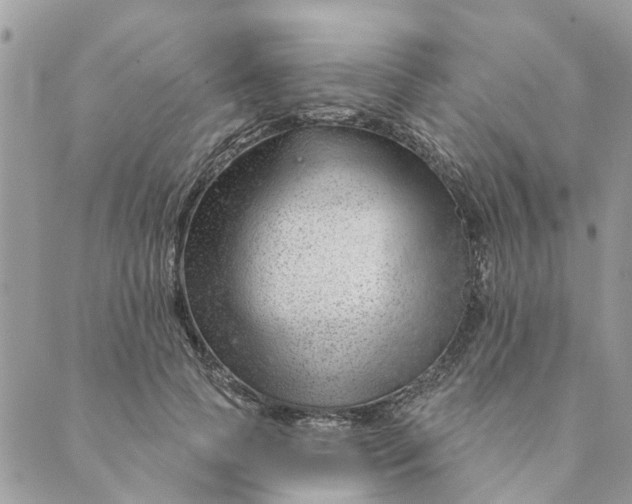 X0000088900745200706291504