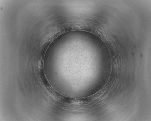 X0000088900746200706291504