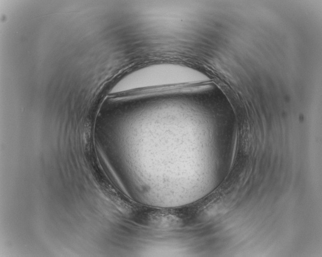 X0000088900747200706291504